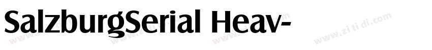SalzburgSerial Heav字体转换 SalzburgSerial Heav字体转换